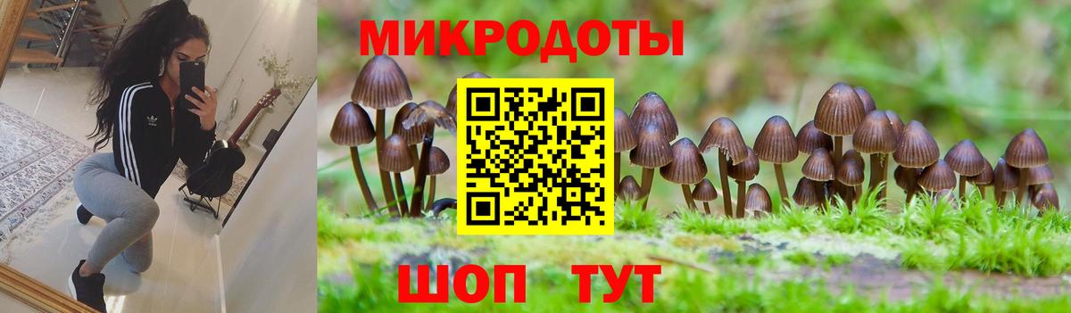 Псилоцибиновые грибы ЛСД Нягань